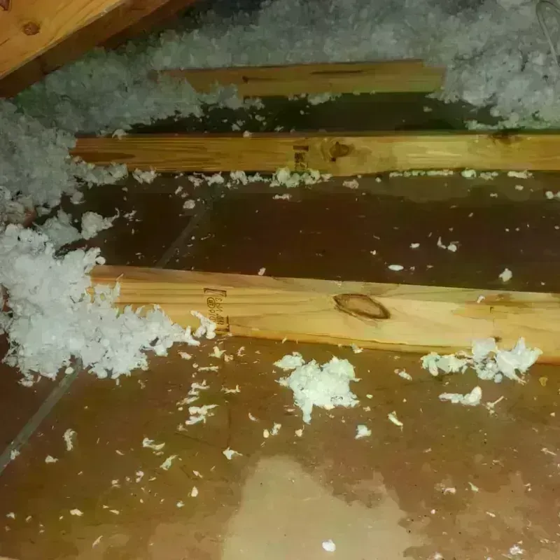 Attic Water Damage in Jeffersontown, KY